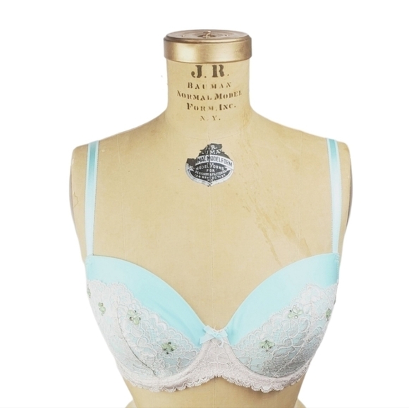 Victoria's Secret Other - VICTORIA'S Secret Angels Lined Demi Bra Blue and White 32DDD